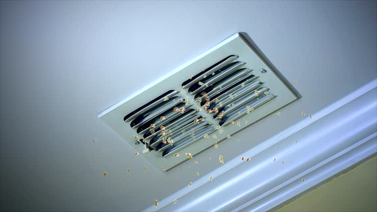 Best Affordable HVAC Duct Cleaning  in Ethete, WY