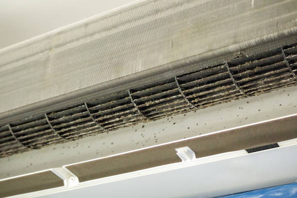 Best Duct Cleaning for Offices  in Ethete, WY